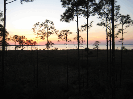 Bahia Sandestin Bay View