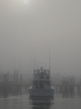 Bounty Hunter Destin Florida Fishing Bounty Hunter Destin Florida Fishing